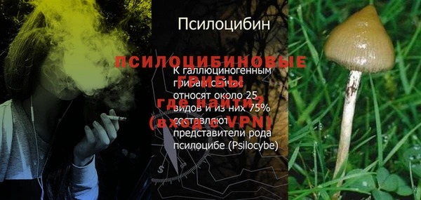 тгк Бородино