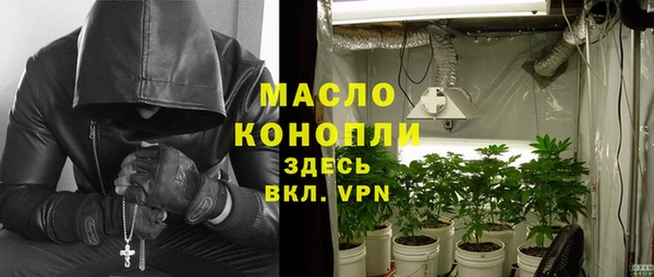 тгк Бородино